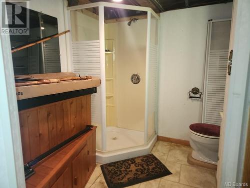 1123 Route 130, Grand-Sault/Grand Falls, NB - Indoor Photo Showing Bathroom