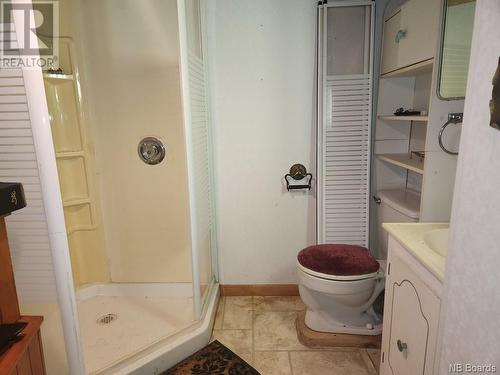 1123 Route 130, Grand-Sault/Grand Falls, NB - Indoor Photo Showing Bathroom