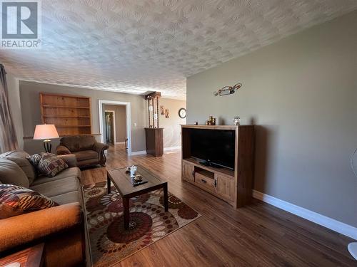20 Sutherland Drive, Grand Falls-Windsor, NL - Indoor Photo Showing Living Room