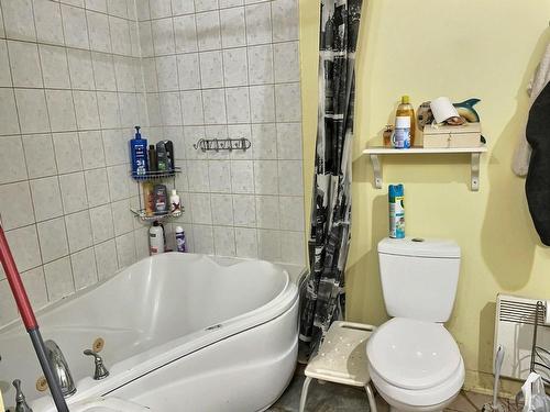 Salle de bains - 14 Rue Principale S., Notre-Dame-Du-Nord, QC - Indoor Photo Showing Bathroom