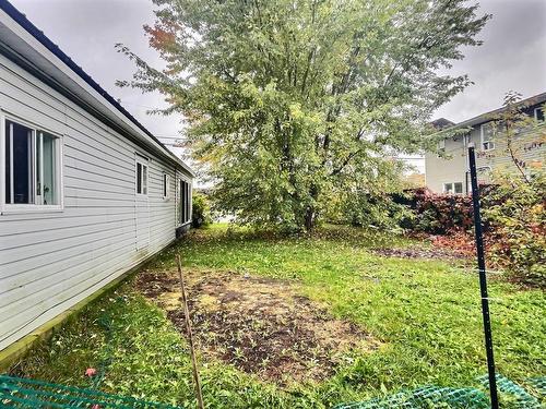 Backyard - 14 Rue Principale S., Notre-Dame-Du-Nord, QC - Outdoor