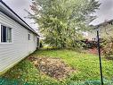 Backyard - 14 Rue Principale S., Notre-Dame-Du-Nord, QC  - Outdoor 