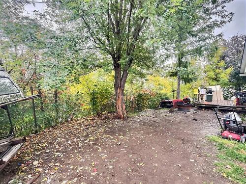 Backyard - 14 Rue Principale S., Notre-Dame-Du-Nord, QC - Outdoor