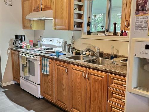 Kitchen - 14 Rue Principale S., Notre-Dame-Du-Nord, QC - Indoor Photo Showing Kitchen With Double Sink