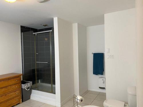 Salle de bains - 182 Rue De L'Avenir, Mont-Blanc, QC - Indoor Photo Showing Bathroom