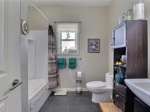 482 Mountain View Dr, Lake Cowichan, BC - Indoor Photo Showing Bathroom