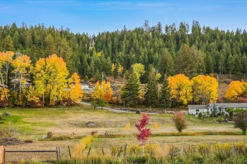 4258 Horsethief Creek Fs Road, Wilmer, BC - Outdoor With View