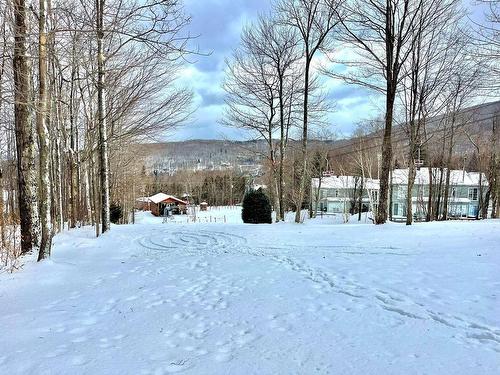Overall view - 345 Ch. Boulanger, Sutton, QC - Outdoor With View