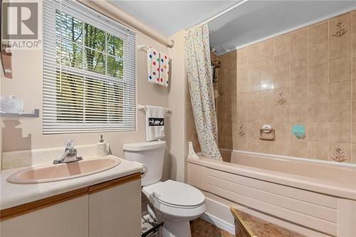 1221 Tramore Road, Golden Lake, ON - Indoor Photo Showing Bathroom