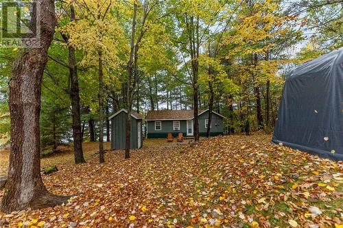 1221 Tramore Road, Golden Lake, ON - Outdoor
