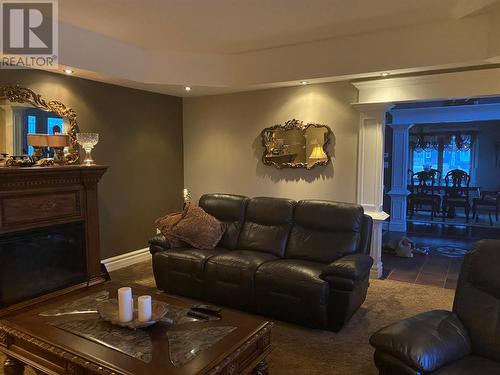2 Mountainview Lane, Cape St George, NL - Indoor Photo Showing Living Room With Fireplace