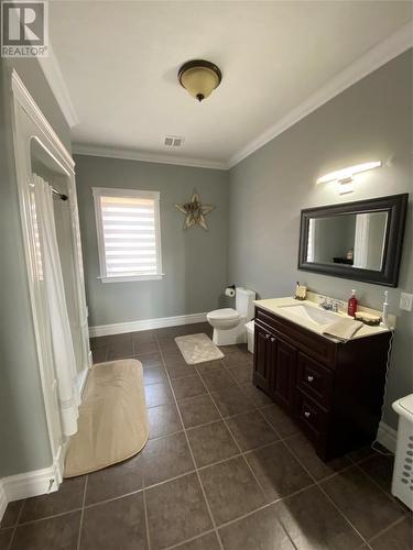 2 Mountainview Lane, Cape St George, NL - Indoor Photo Showing Bathroom