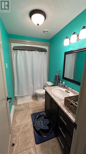 18 Simon Drive, Stephenville, NL - Indoor Photo Showing Bathroom