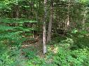 Wooded area - Rue Du Terroir, Cantley, QC 