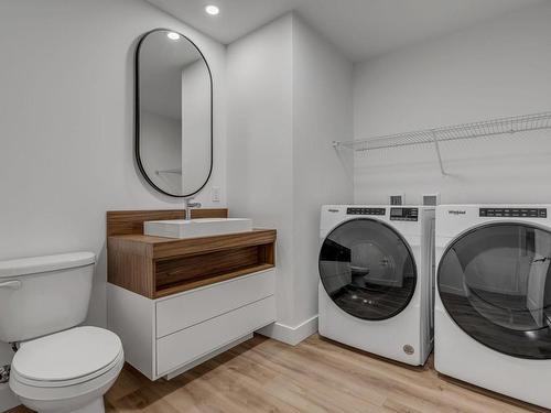 Salle d'eau - 1301-700 Route Des Rivières, Lévis (Les Chutes-De-La-Chaudière-Ouest), QC - Indoor Photo Showing Laundry Room