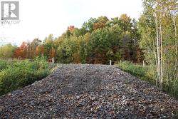 Looking towards Jochem Rd from bottom of driveway - 