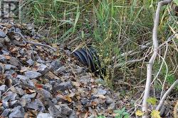 New culvert on east side of driveway - 