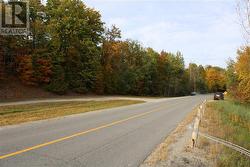 Looking east along Jochem Rd from main entrance to land. - 