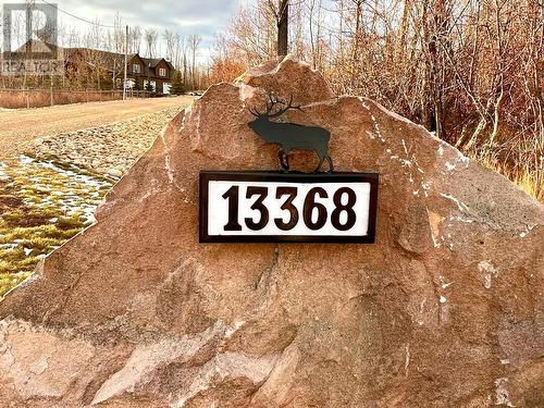 13368 Elk Ridge Trail, Dawson Creek, BC - Outdoor