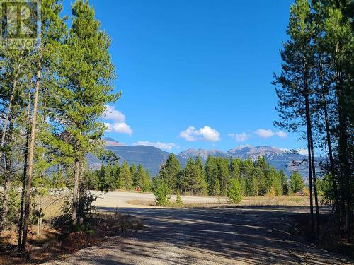 4995 Pitney Road, Valemount, BC - Outdoor With View
