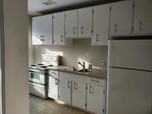 233 Cameron Street, Thunder Bay, ON - Indoor Photo Showing Kitchen With Double Sink