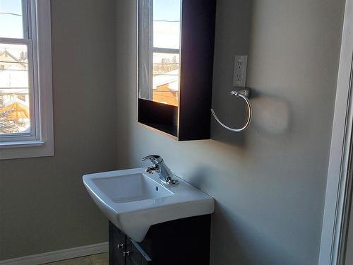 233 Cameron Street, Thunder Bay, ON - Indoor Photo Showing Bathroom