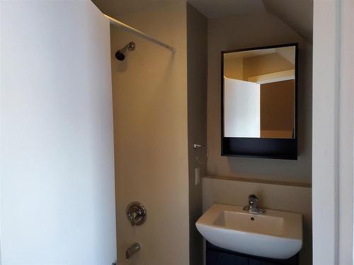 233 Cameron Street, Thunder Bay, ON - Indoor Photo Showing Bathroom