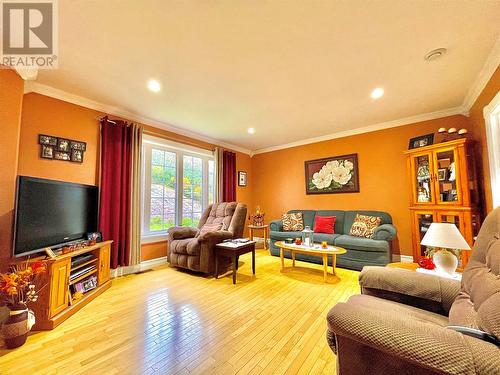 42 Main Road, Hodges Cove, NL - Indoor Photo Showing Living Room