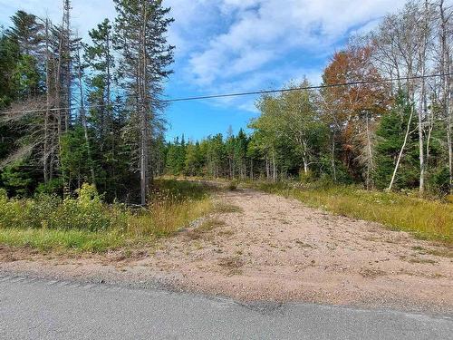 Lot 7 Lower River Rd, Cleveland, NS 
