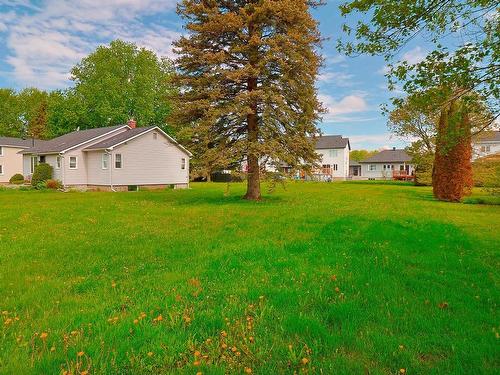 Land/Lot - Rue De L'Église, Bedford - Ville, QC 