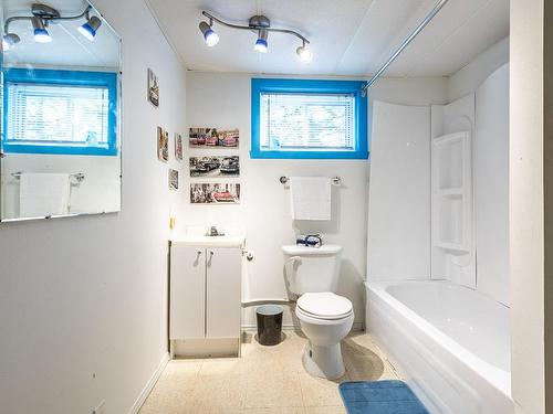 Logement - 2113 Ch. Brunet, Sainte-Agathe-Des-Monts, QC - Indoor Photo Showing Bathroom
