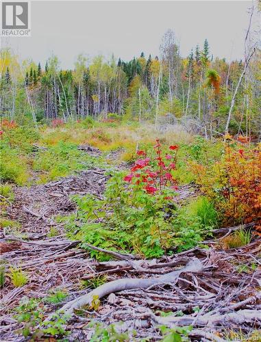 Vacant Lake Road South, Upham, NB 