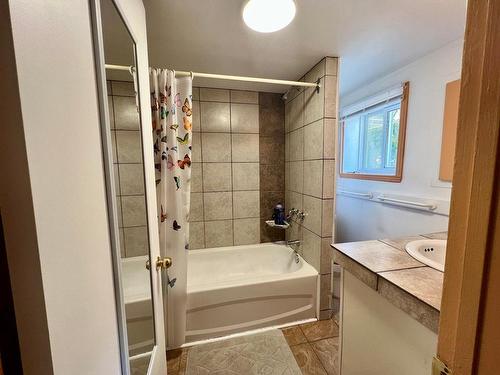 Dwelling - 173  - 179 Rue St-Vincent, Sainte-Agathe-Des-Monts, QC - Indoor Photo Showing Bathroom