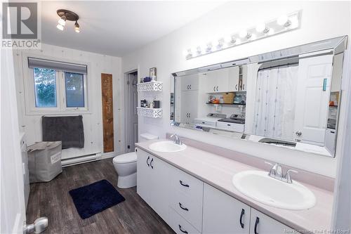 664 Burpee Avenue, Grand-Sault/Grand Falls, NB - Indoor Photo Showing Bathroom