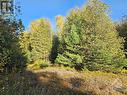 This lot is high and dry close to 40% covered by woods. - B22/102 Graham Road, Beckwith, ON 