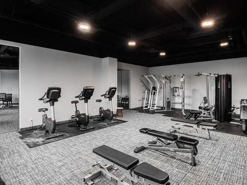 Exercise room - 208-16 Place Du Commerce, Montréal (Verdun/Île-Des-Soeurs), QC - Indoor Photo Showing Gym Room