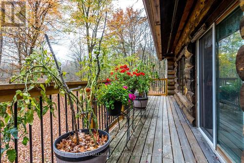 720 County Road 507, Galway-Cavendish And Harvey, ON - Outdoor With Deck Patio Veranda