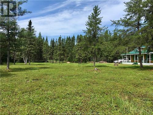 702 Forks Stream Rd, New Canaan, NB - Outdoor With View