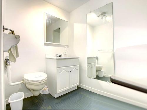 Powder room - 51  - 53 Rue St-Antoine, Sainte-Agathe-Des-Monts, QC - Indoor Photo Showing Bathroom
