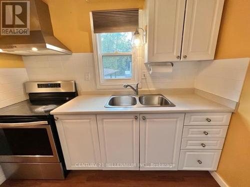 27 47Th St S, Wasaga Beach, ON - Indoor Photo Showing Kitchen With Double Sink