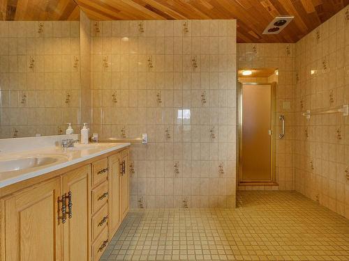 Ensuite bathroom - 280 Ch. Du Sommet, Piedmont, QC - Indoor Photo Showing Bathroom