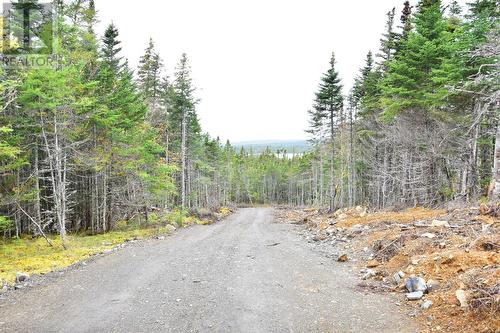 Lot 3 Second Pond Road, Shearstown / Butlerville, NL 