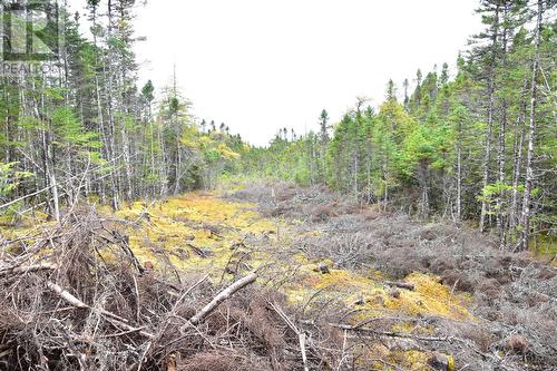 Lot 3 Second Pond Road, Shearstown / Butlerville, NL 