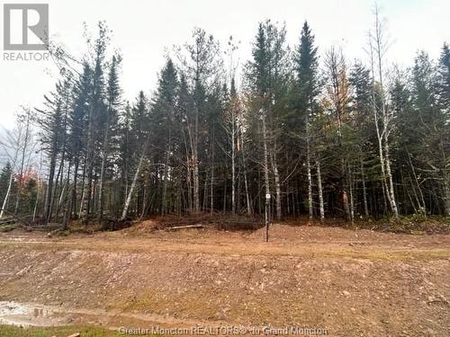 Lot 31 Maefield St, Lower Coverdale, NB 