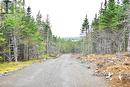 Lot 5 Second Pond Road, Shearstown / Buttlerville, NL 