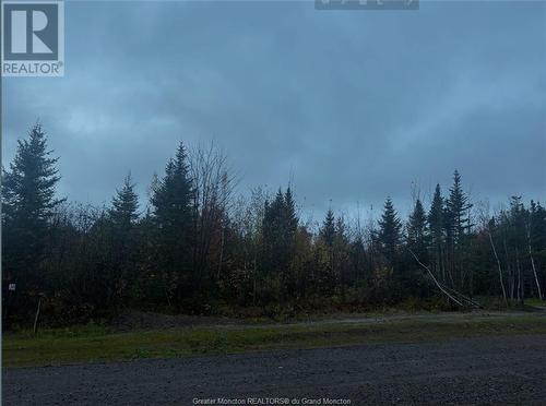 Lot 30 Maefield St, Lower Coverdale, NB 