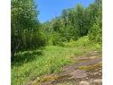 Terre/Terrain - Ch. Des Érables, Petite-Rivière-Saint-François, QC 