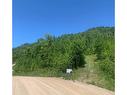 Terre/Terrain - Ch. Des Érables, Petite-Rivière-Saint-François, QC 