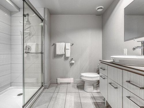 Salle de bains - 315-201 Rue Du Val-Des-Neiges, Beaupré, QC - Indoor Photo Showing Bathroom
