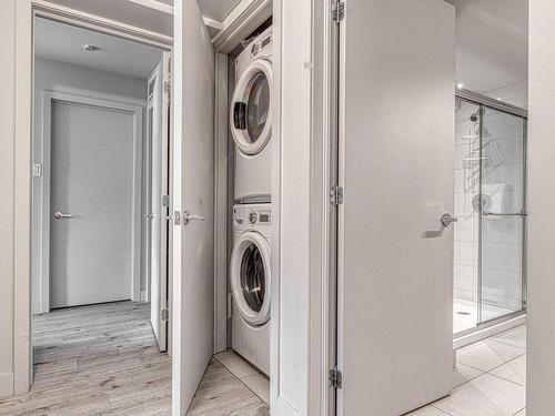 Vue d'ensemble - 315-201 Rue Du Val-Des-Neiges, Beaupré, QC - Indoor Photo Showing Laundry Room